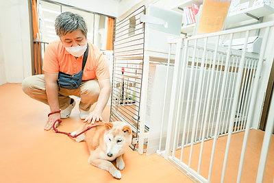 オレンジライフの毎日