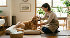 「おむつ」は愛犬への優しさ。清潔で心地よい毎日を叶える新しい選択肢