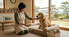 実は「冬の脱水」や「春の冷え」も怖い。老犬の生命力を守る温度・湿度管理