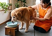 お水を飲むとき周りをビショビショにしてしまう、うまく飲めない老犬へ。舌の筋力低下をサポートする「水飲み場」の工夫
