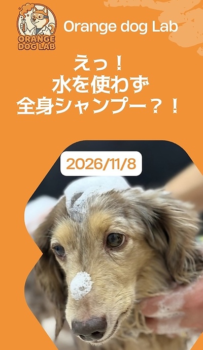 えっ！水を使わず全身シャンプー？！