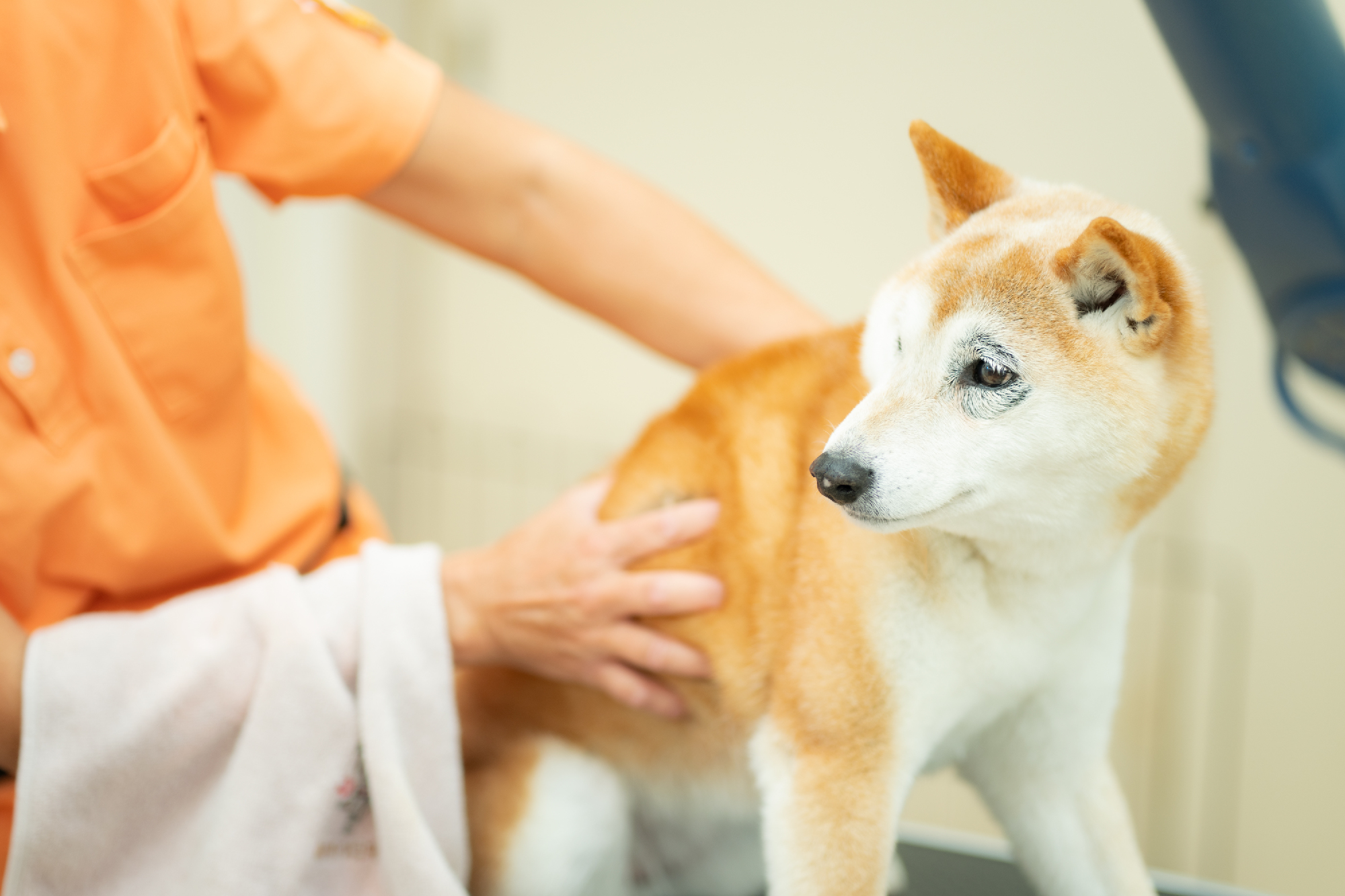 身体をほぐすためのマッサージ