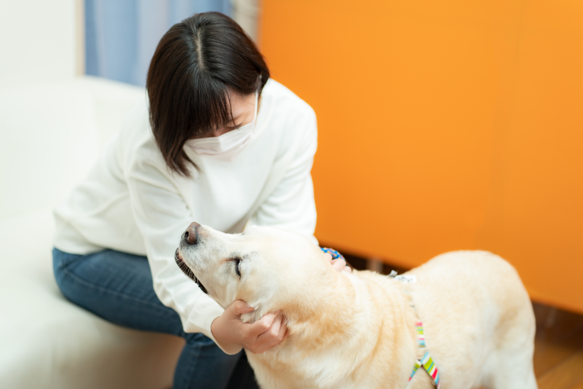 個室でのご面会