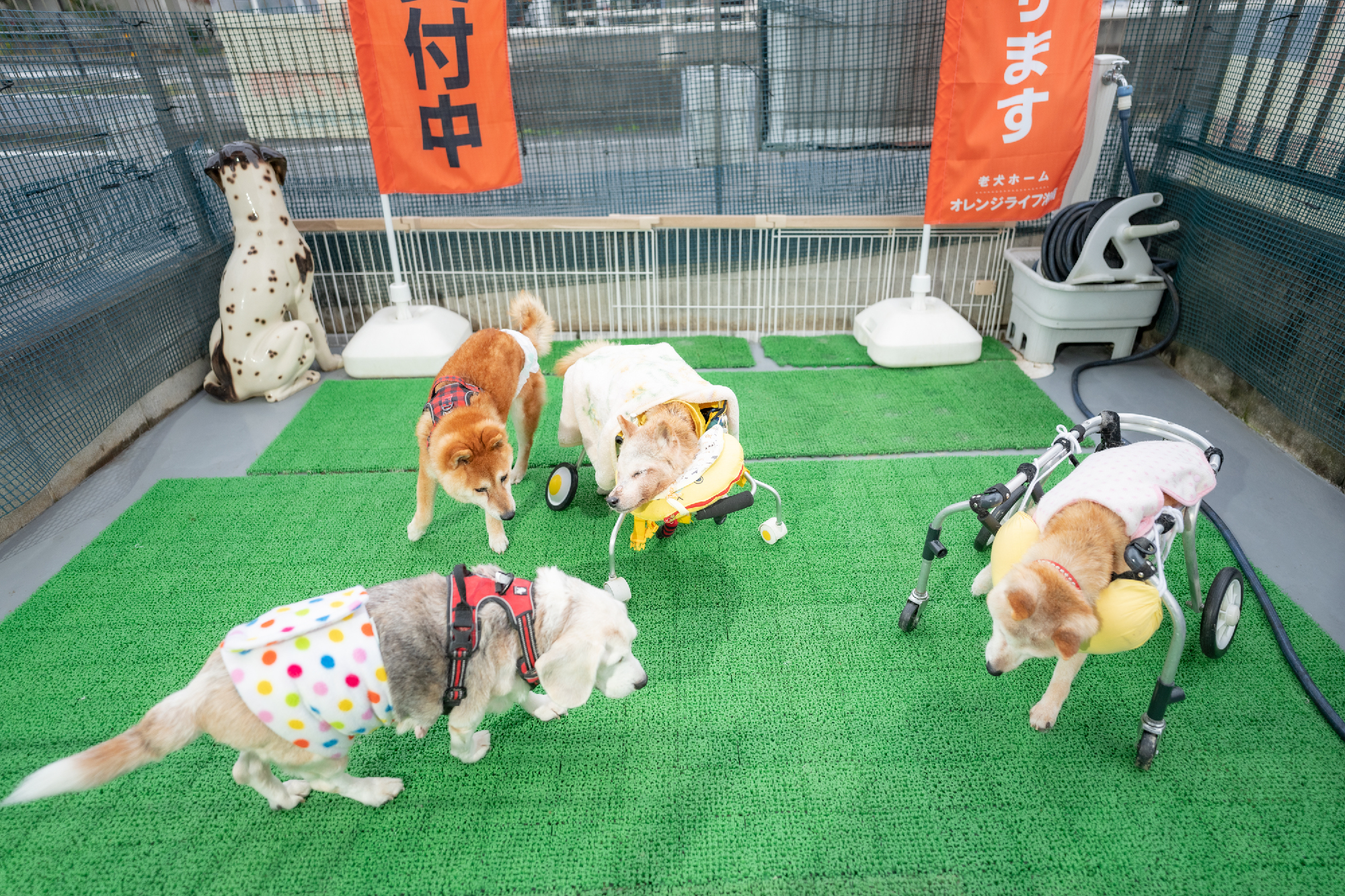 みんな、お外が大好き