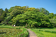 電気代が気になる夏に！『自然公園の日』から考える省エネ＆自然素材の住まいづくり