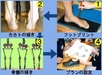 外反拇趾、足裏の痛み、膝の痛みの原因