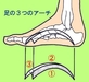 足裏のアーチ構造は快適な２足歩行に欠かせない機能を担っています。