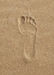 砂浜に残された人の足跡
