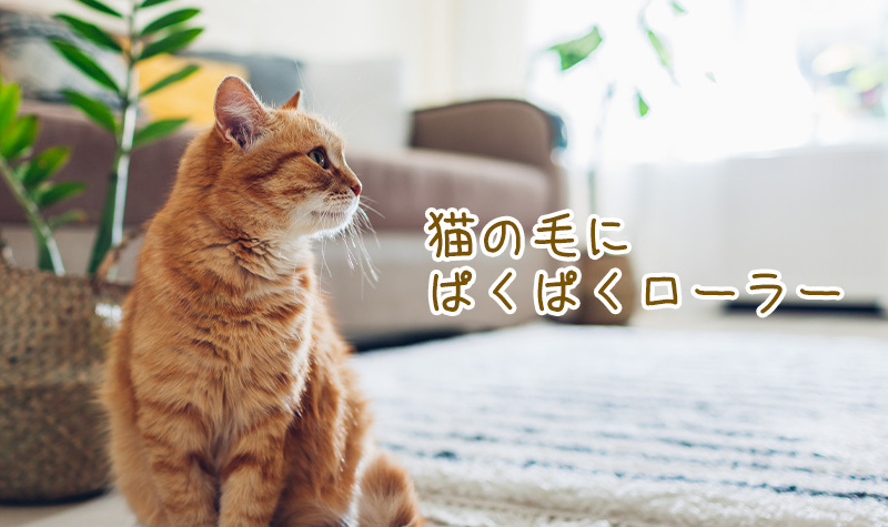 猫の毛にぱくぱくローラー