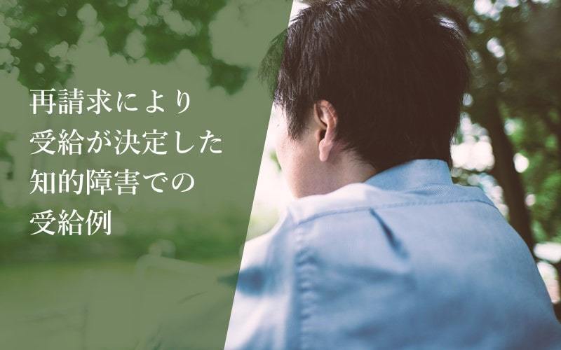 【知的障害での障害年金】再請求で意見書を提出し2級に決定