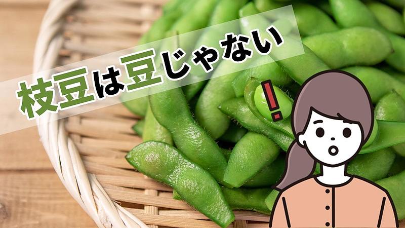 枝豆は豆じゃない