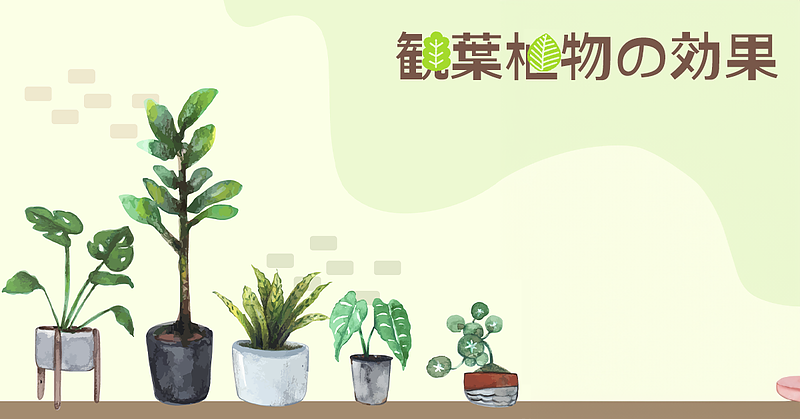 観葉植物の効果