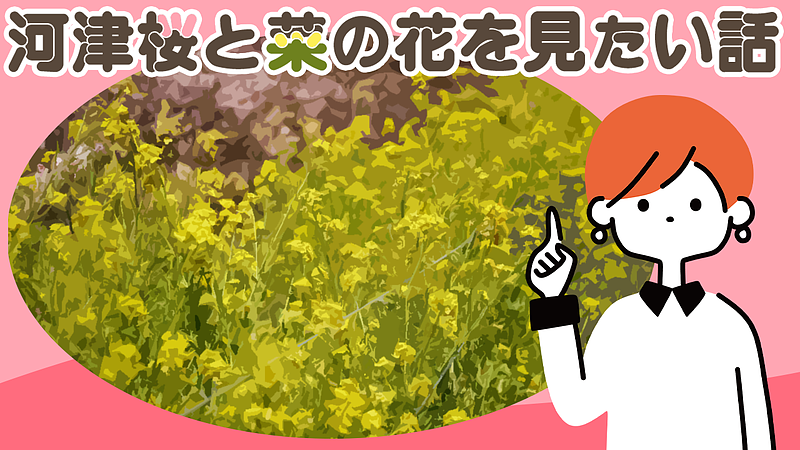 河津桜と菜の花を見たい話