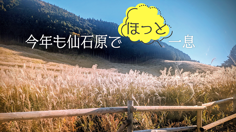 今年も仙石原でほっと一息