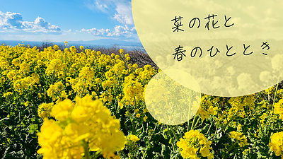 菜の花と春のひととき