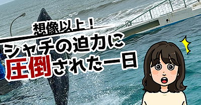 想像以上！シャチの迫力に圧倒された一日