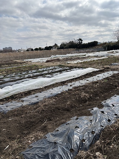 食の豊かさとは〜農作物の端境期について〜