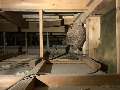 グリーンプロジェクトX　～もったいないに取りつかれた男たち～