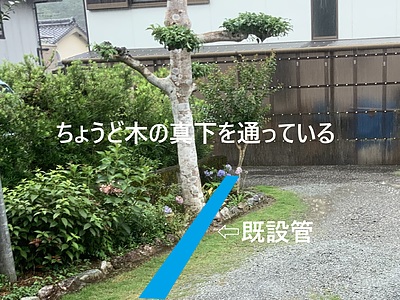 グリーンプロジェクトX　～もったいないに取りつかれた男たち～　3