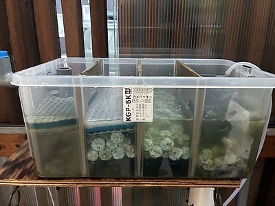10月1日は浄化槽の日！！