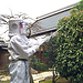 熊本市で直径25センチのスズメバチ駆除　巣の撤去施工事例