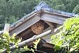 安心安全なスズメバチの予防と駆除方法をご紹介！スズメバチ捕獲器は予防効果抜群！