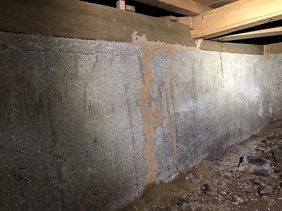 【熊本市】築40年木造戸建住宅の白蟻被害現場