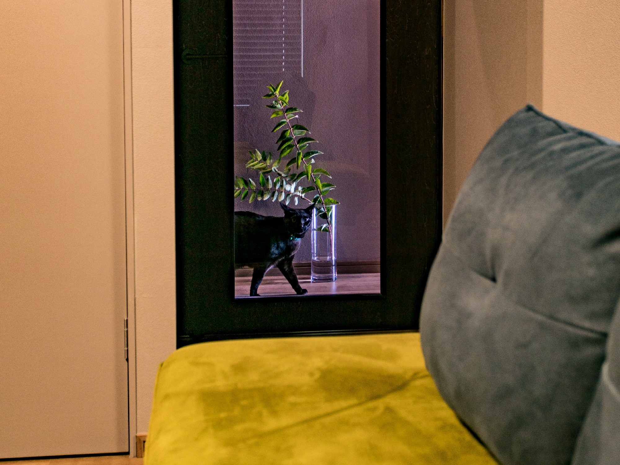 クロネコの愛猫が横切る建具