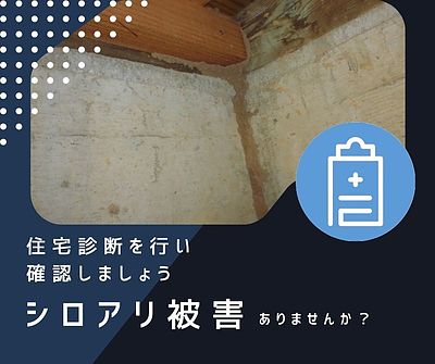 あなたの家は大丈夫？～シロアリ被害を見逃さないホームインスペクション～