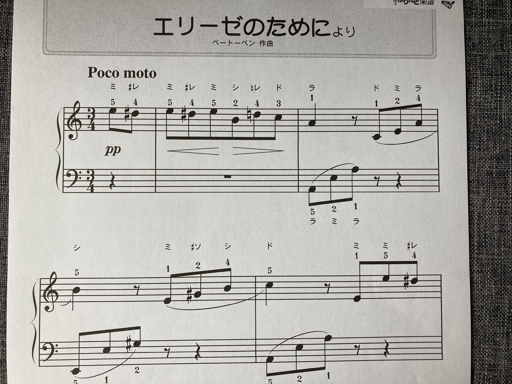 エリーゼのためにを1ヶ月で弾けるようになった中学生ピアノ初心者 音楽指導 吉岡裕美 マイベストプロ熊本