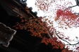 京都東山、秋の色