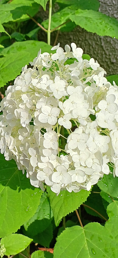 自身のこころを知る作業の意義とは