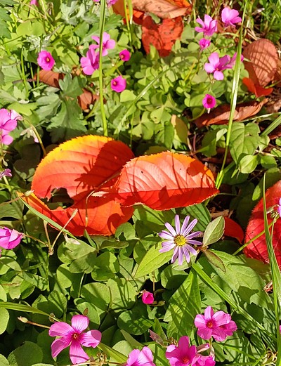 信じるということ