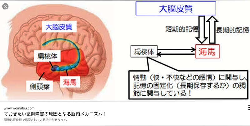 脳科学