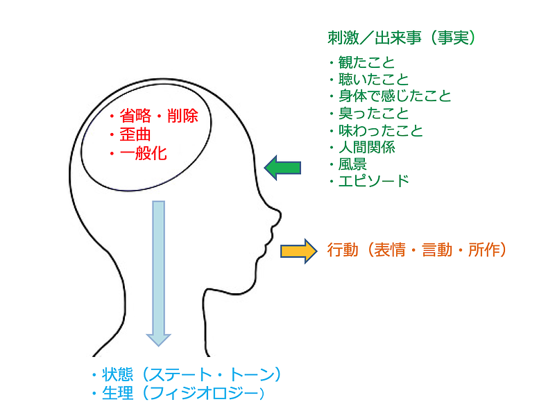 脳フィルター