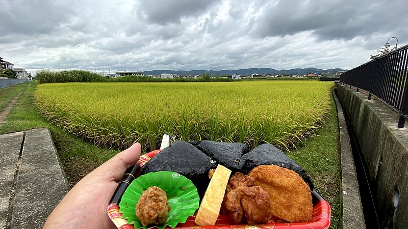 揚げ物弁当