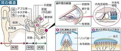 めまいとふら・ふら（パート2）