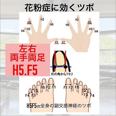 【衝撃】花粉症には「薬」より「アルミホイル」！？プロがこっそり教える魔法のツボ