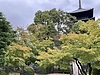 今日のMJ（Morning 塾ジイ）1006　ー今日の予告ー