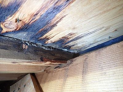 小屋裏に侵入しての調査の重要性