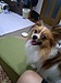 今週の小次郎