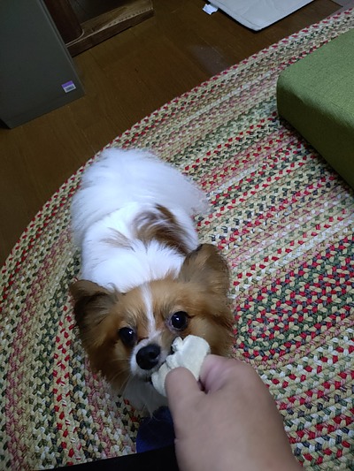 今週の小次郎