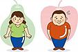 脂肪の役割　（生活習慣病の引き金　肥満　その3）