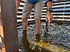 屋上防水の劣化を知らせるサイン