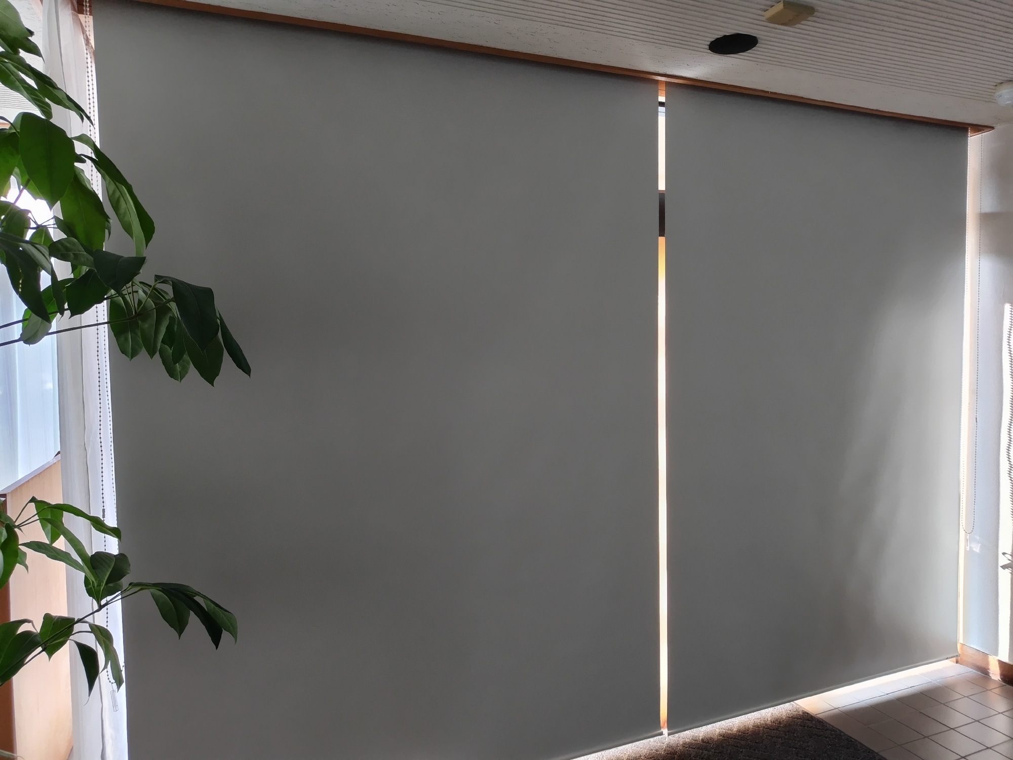 ロールスクリーン