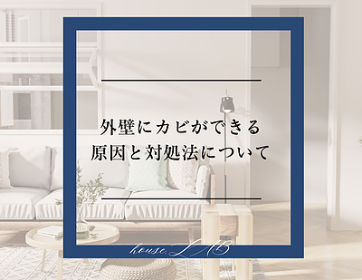 外壁にカビができる原因と対処法について