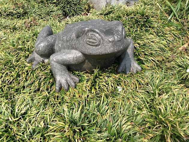 秋田鳥海石で作られた蛙