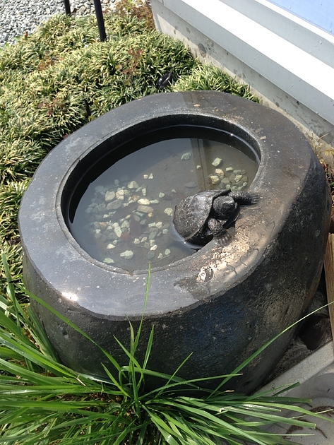 秋田鳥海石で作られた水鉢