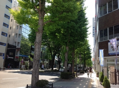 仙台巻き爪矯正院まえの風景