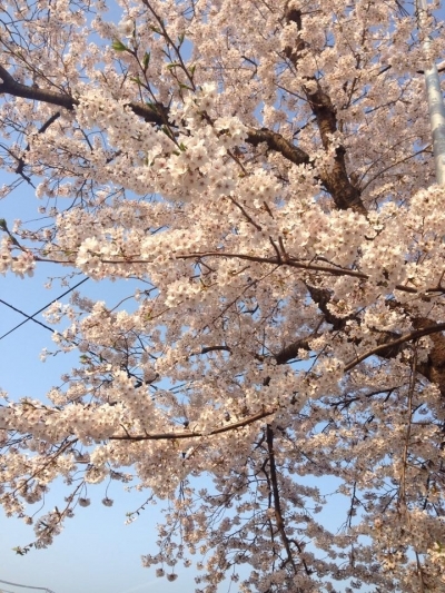 生前家財整理のご依頼を